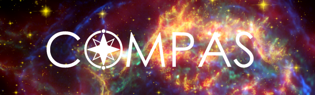 Simulating stars